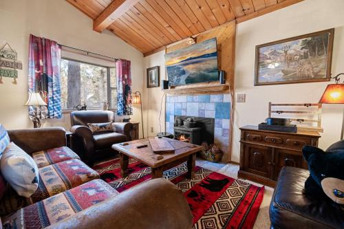 A Beary Cute Cabin - An adorable cozy cabin nestled in the forest!
