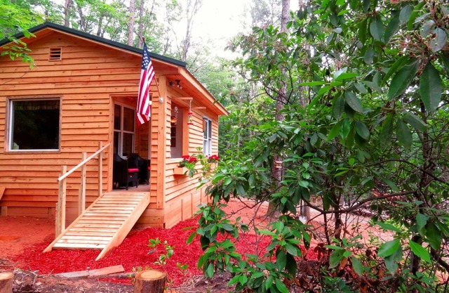 A Cabin In The Woods