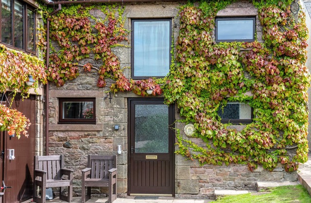 A cottage that sleeps 4 guests in 3 bedrooms