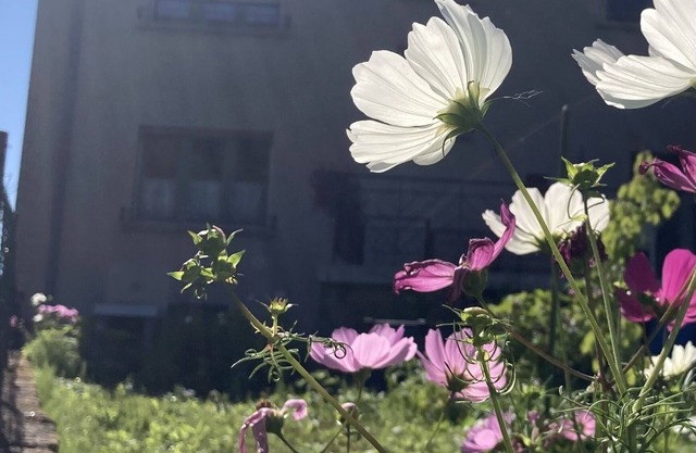 A green setting in the heart of a region rich in industrial heritage