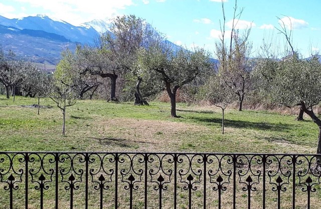 Ancient farmhouse with vaulted ceilings, surrounded by centuries-old olive trees and splendid views