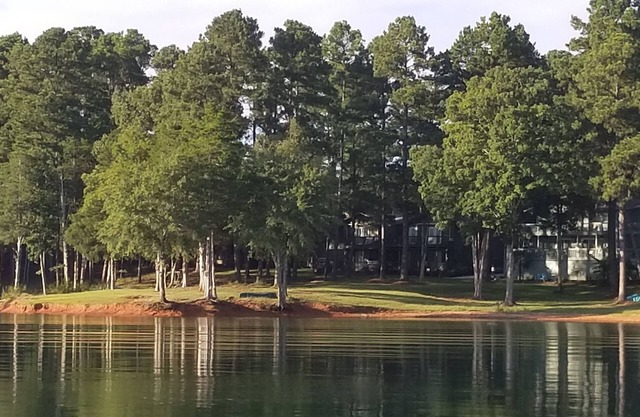 A Perfect Waterfront Villa on Lake Hartwell. Come relax, have fun, get away!