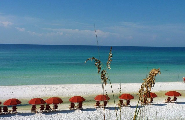 A Piece of Beach Paradise - Gorgeous 2 Bedroom Beach Condo!