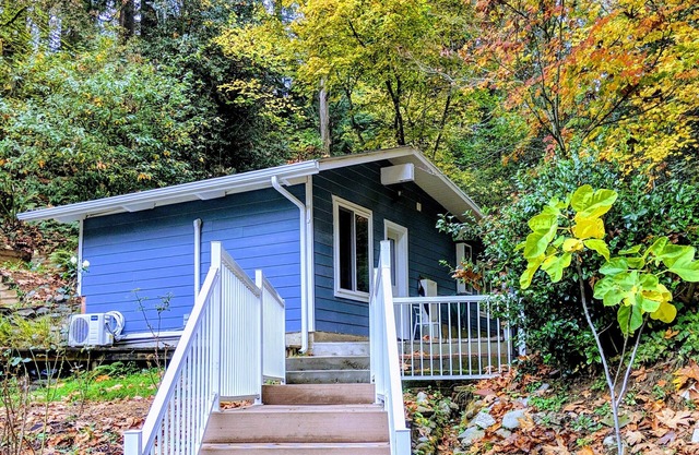 A private newly renovated cabin surrounded by trees