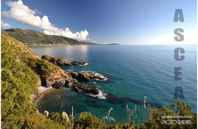 A typical and picturesque, single country house with a picturesque ocean view