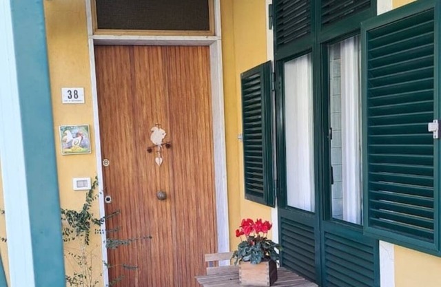 AAUT THE WALNUT LEIVI CITRA code. 010029-LT-0025