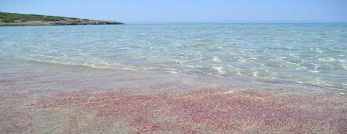 Affittacamere la Medusa