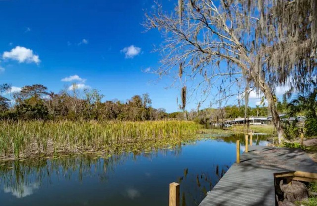 Affordable Tiny Home with Tranquil View - Palmetto