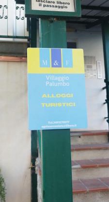 Agrifoglio