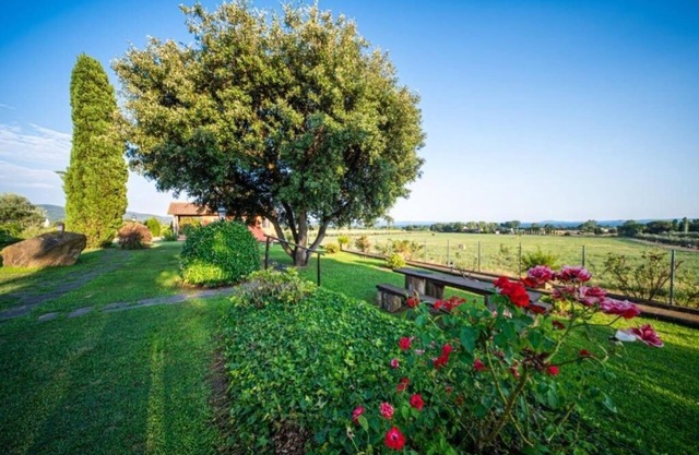 Agriturismo L'Elce: Apartment - Ground Floor