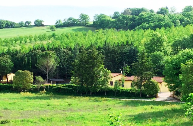 Agriturismo Under the Hill of Assisi - Apartment "La Quercia" (4)