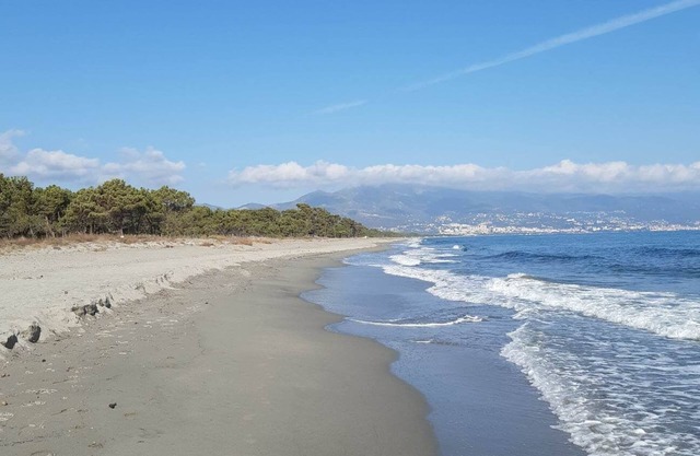 air-conditioned, comfortable house with direct beach access.