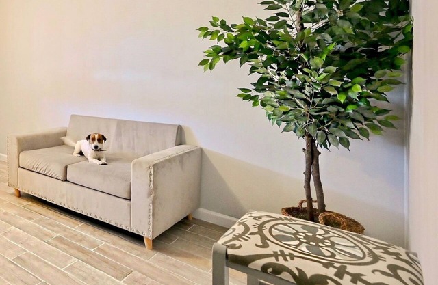 Airport Pick Up, Spoiling Apt With an Office, Super Private,