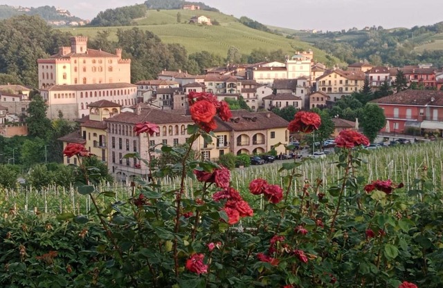 AL CIVICO 20 L'impero Del Sole!
