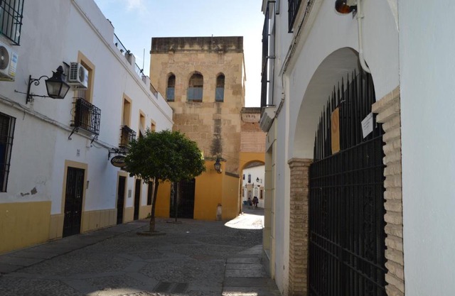 ALCAZAR VIEJO SUITE Tourist Córdoba