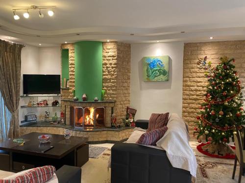 Aleksandras Διαμερίσματα