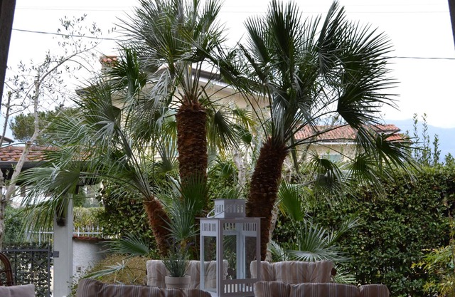 All inclusive large house with garden, air conditioning, quiet and near the sea