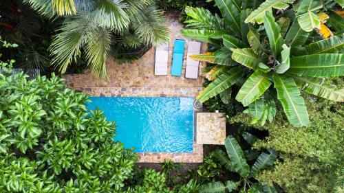 All Private Villa, Pool, HOT Jacuzzi, Magic Jungle Garden, Cocles Beach
