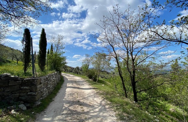 Allegra House - Rustic apartment in the green