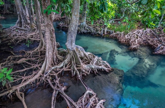 ALOE Unique Natural Pool Villa Ao Nang