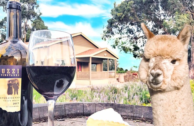 Alpaca Farm, Sonoma Lavender Spa Tub & Wine Bliss