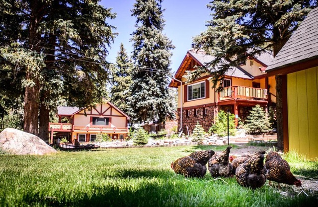 Alpen Way Chalet Mountain Lodge