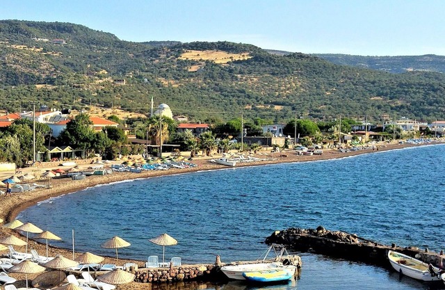 Alterna Koy Evi