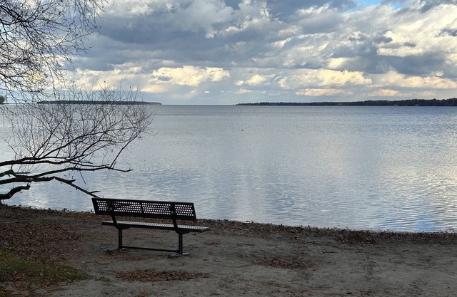 Amazing cottage very close to beautiful Simcoe Lake