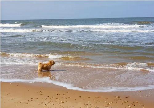 Amazing Family Cottage Just mins to Beach & Attractions, 3 bed, Sleeps 5, Large Garden, Off Road Private Parking, Fab Free WiFi & Pets are Welcome too! The Perfect Family holiday Getaway!