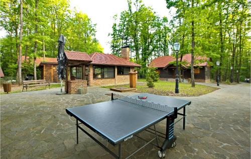 Amazing Home In Gustelnica With Sauna