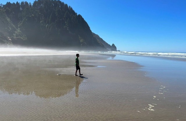 Amazing riverfront property on the Siuslaw!