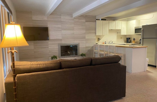 Amazing setting - 2 blocks to Aspen Gondola, 1 BR, Amazing Core location - 1 BR
