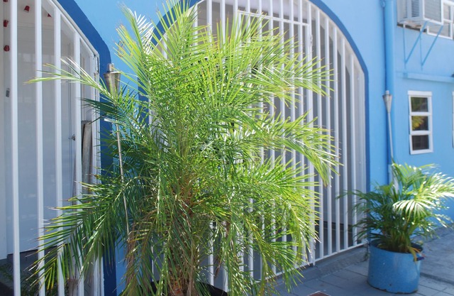 Amazing solution for 10 people - two separate apt - close to arpt and beaches