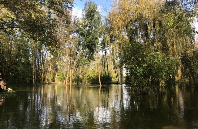 Ancien moulin à eau sur la Seugne