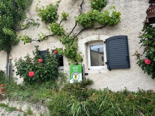 Ancienne ferme restaurée avec charme, vergers de mirabelles, borne électrique, proche Lac de Madine - FR-1-585-7