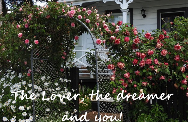 Anniversary Cottage, the perfect escape to the country