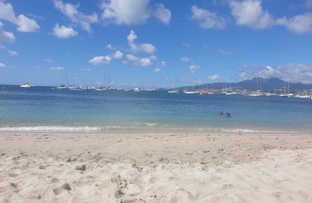 Anse mitan Plage - Large one-bedroom apartment within walking distance of the beach