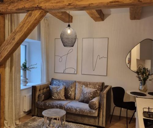 Apartament Centrum 4