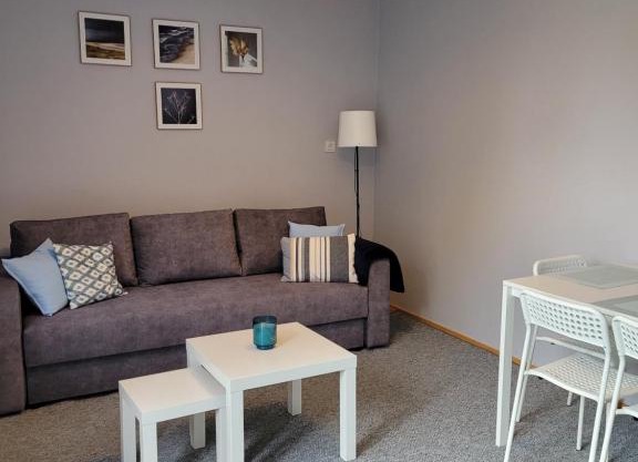 Apartament City Center