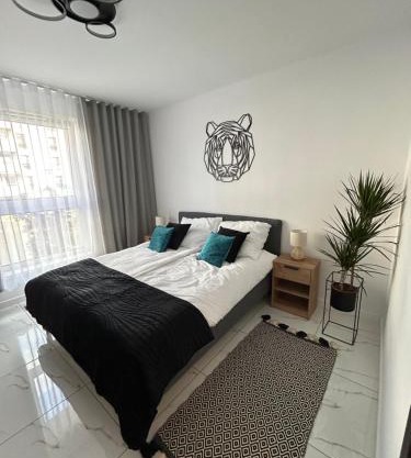 Apartament Dobrzec