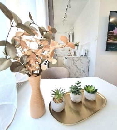 Apartament Dominikanski