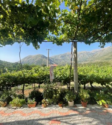 Apartament Dukat Albania