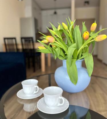 Apartament Jasna Góra