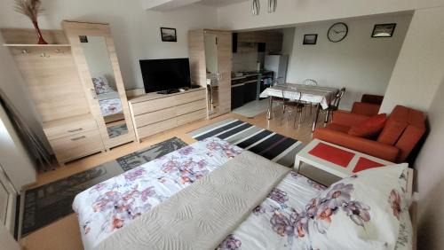 Apartament/Kawalerka