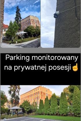 Apartament Magnolia - Centrum