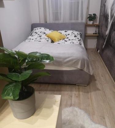 Apartament Morena