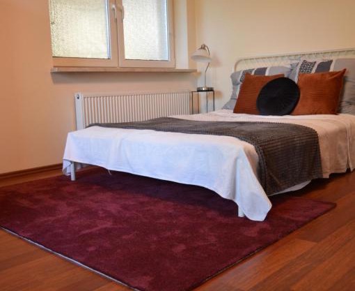 Apartament przy Koniu Trojańskim
