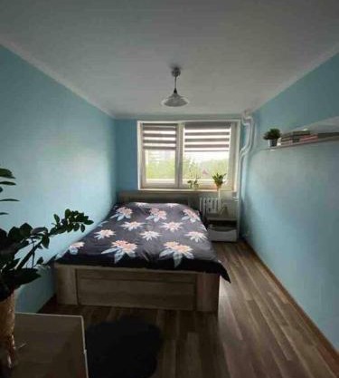 Apartament przy Parku Śląskim