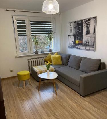 Apartament Saski