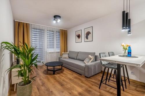 Apartament w centrum II, PW INVEST HOME